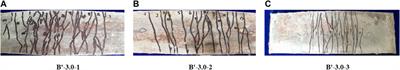 An experimental study and axial tensile constitutive model of the toughness of PP-SACC for rapid repairs